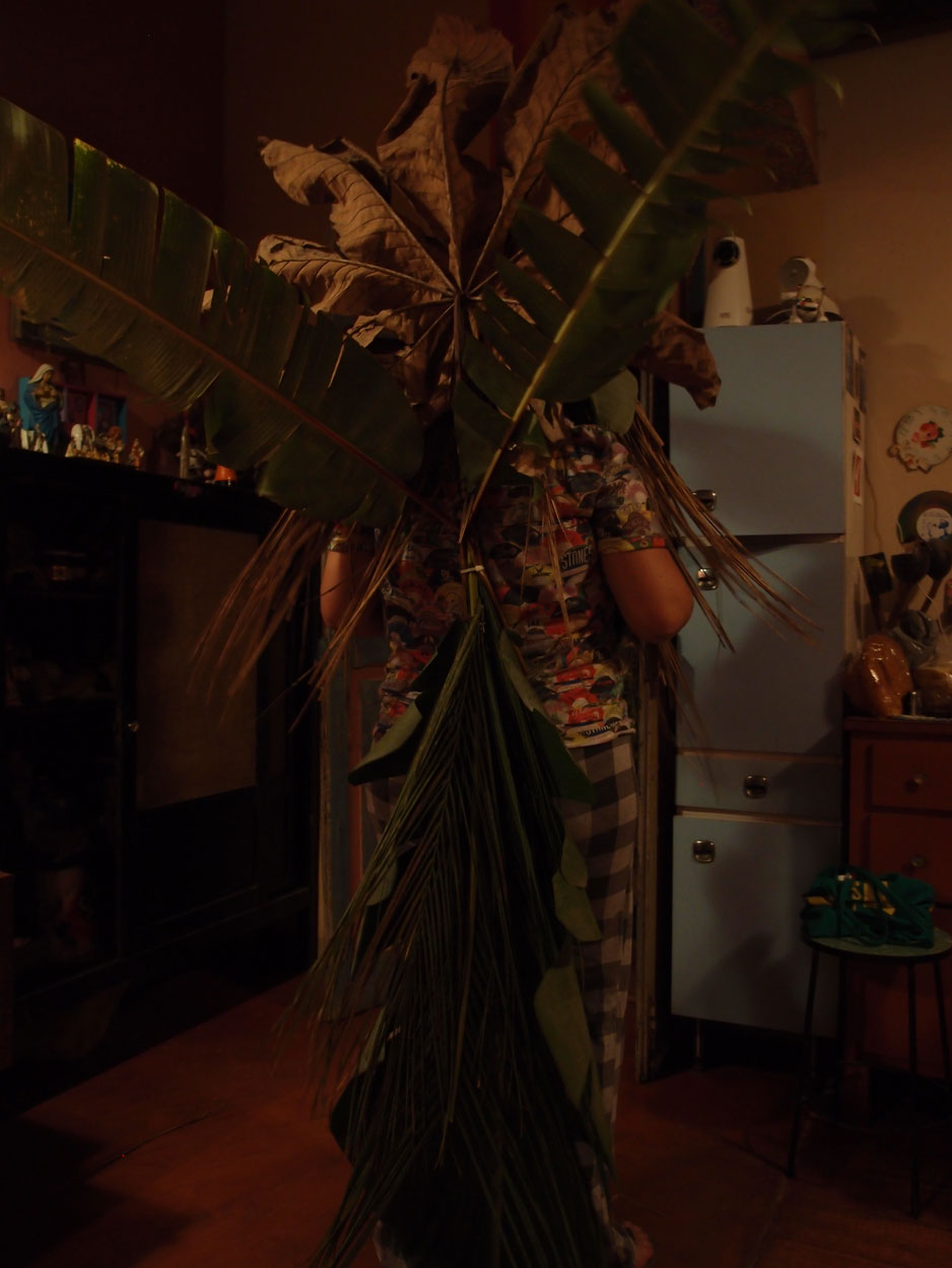 2016-02-08/09 Carneval de Galdi (Foto)